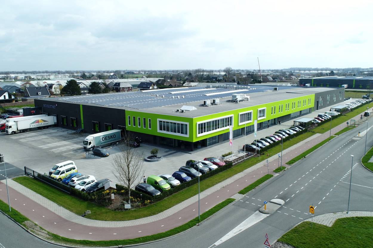 Celieplant duurzaam pand