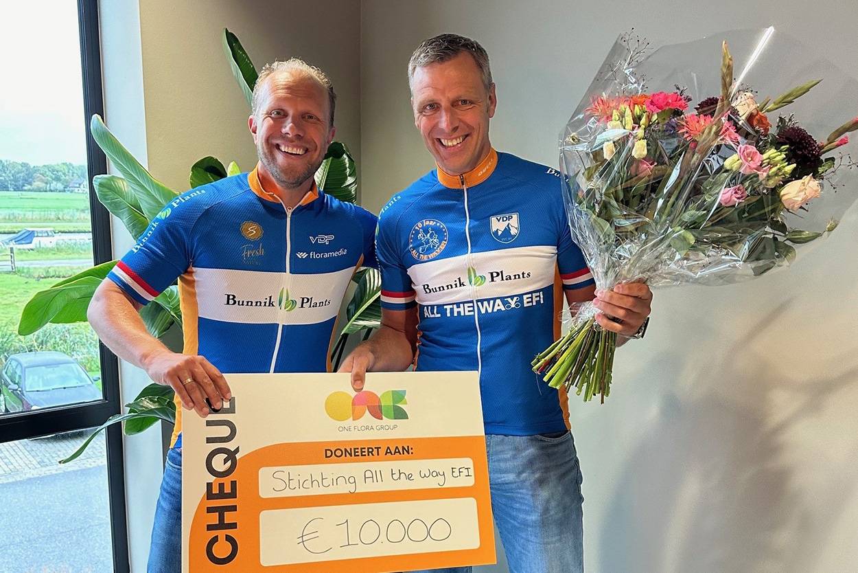 Celieplant maatschappelijk